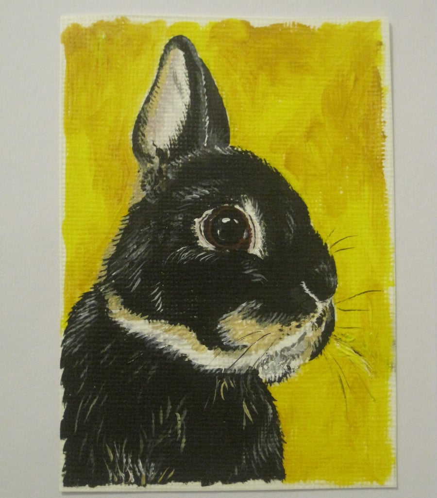ACEO Pet Portrait Original Art Painting cat dog rabbit guinea pig hamster rat