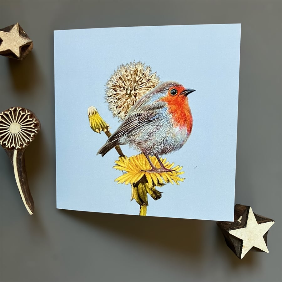 Dandelion Robin