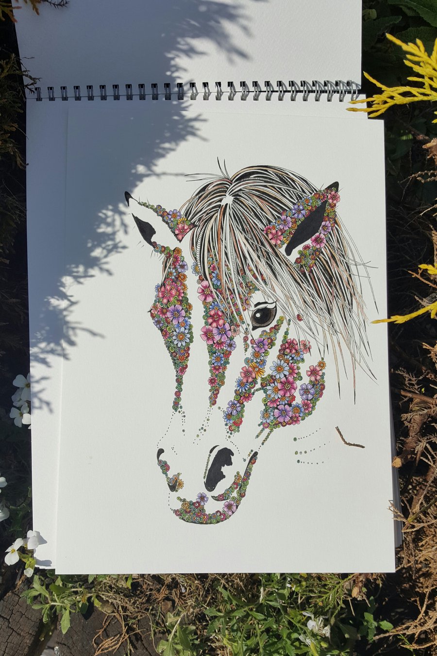 Ridiculous offer.  Sugar the Pony Print (12 x 15") ready to frame