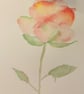 Water Colour Painted Rose Print Greeting Card - Image 2