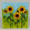 Canvas - Sunflowers