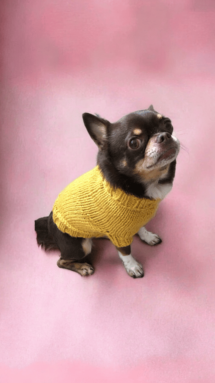  mustard chunky dog jumper size s
