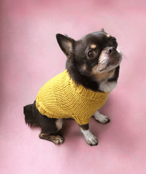  mustard chunky dog jumper size s