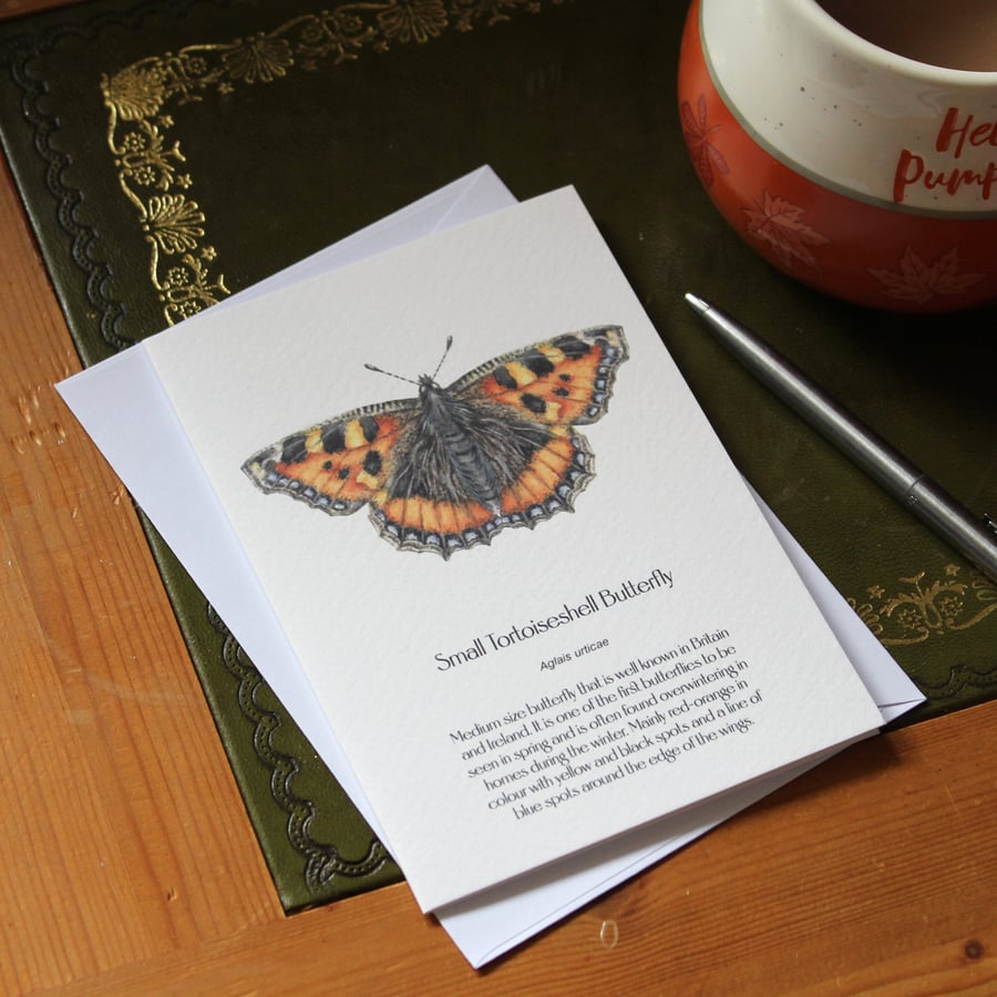 Single Small Tortoiseshell Butterfly Greetings Card - A6 Size