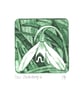 Snowdrop 6 - Image 2