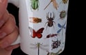 Insect themed