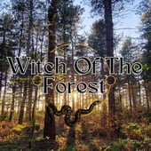 Witch Of The Forest