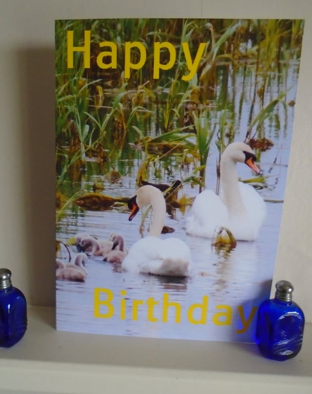 Happy Birthday Swan Familiy Card A5 Size 