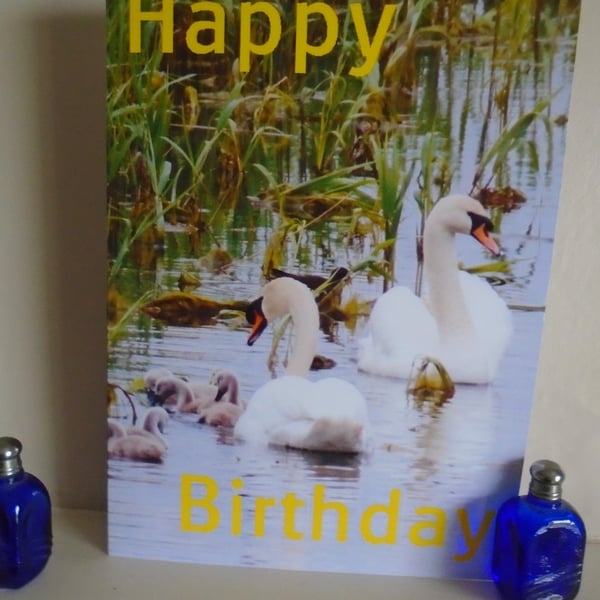 Happy Birthday Swan Familiy Card A5 Size 