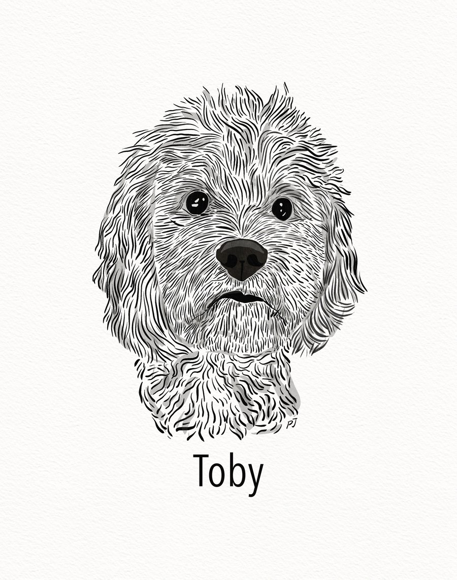 Customised Pet Portrait Illustration