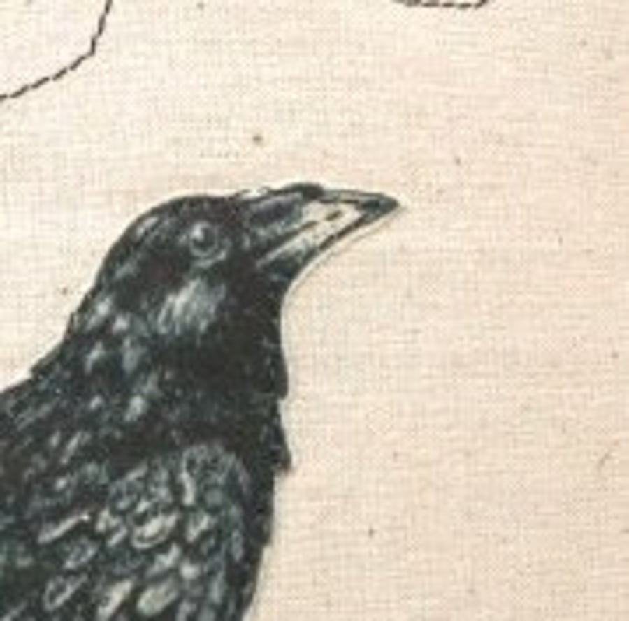 Swancott Designs