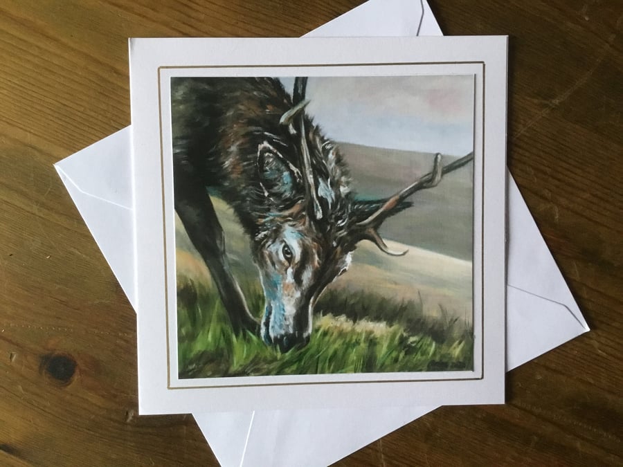 Highland Stag Greetings Card - blank inside