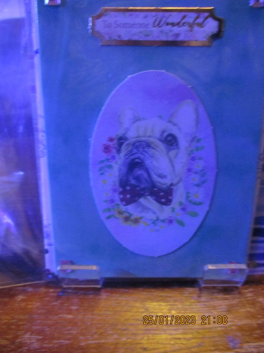 To Someone Wonderful  Dog Card