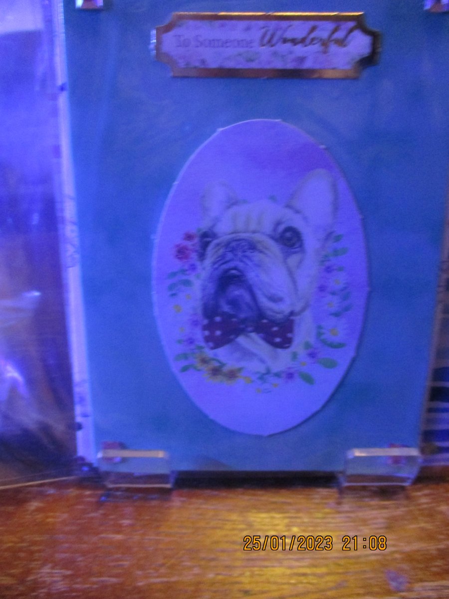 To Someone Wonderful  Dog Card