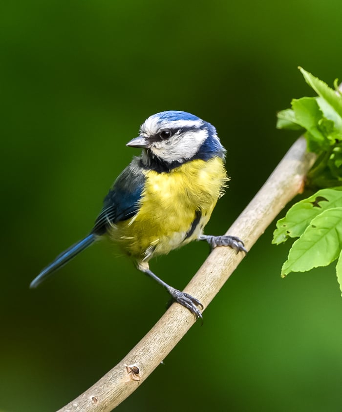 The Riverbank Nature Co