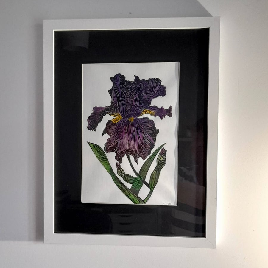 Lino Print Bearded Iris with Watercolour tint
