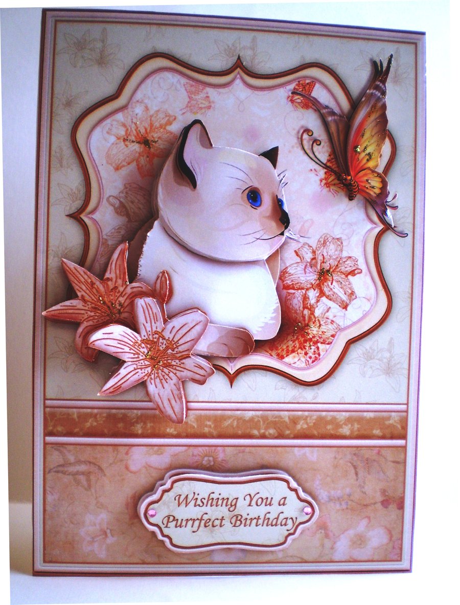 Handmade Decoupage Cat Birthday Card,3D,,Personlise,any age