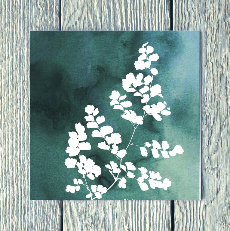 Maiden Hair Fern, Greetings Card
