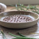 Ceramic grater and herb stripper 