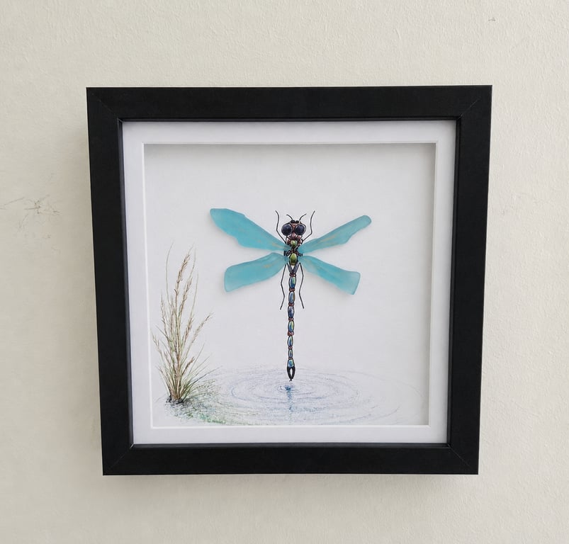 Sea Glass Dragonfly Picture - Coastal Wall Art - Handmade Dragonfly Art