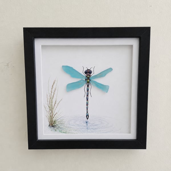 Sea Glass Dragonfly Picture - Coastal Wall Art - Handmade Dragonfly Art