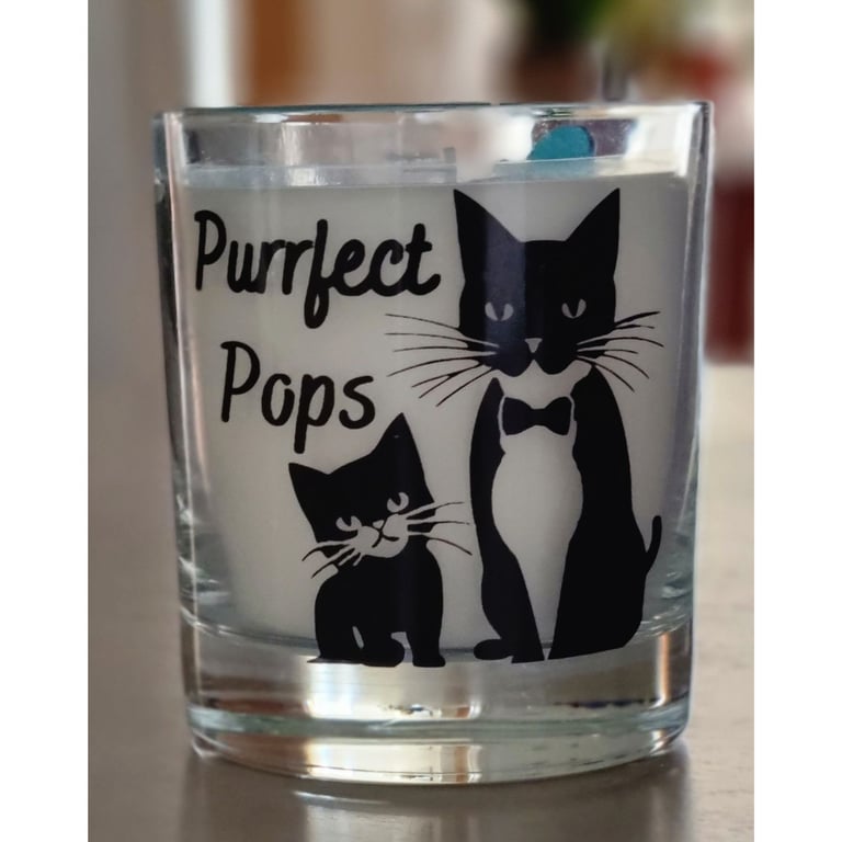 Scented Candle In Glass Container Purrfect Pops Cat Design Dad Gift