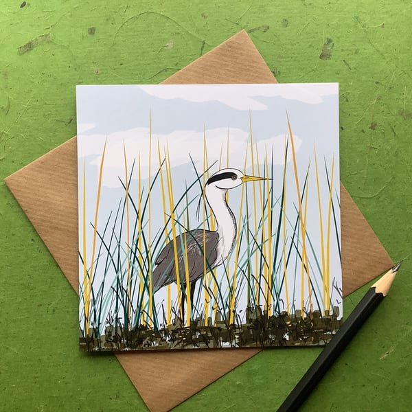 Greetings card - Heron in reeds - blank. Birds. Wildlife