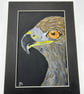 Original eagle painting 5x7" wildlife artwork  - Image 6