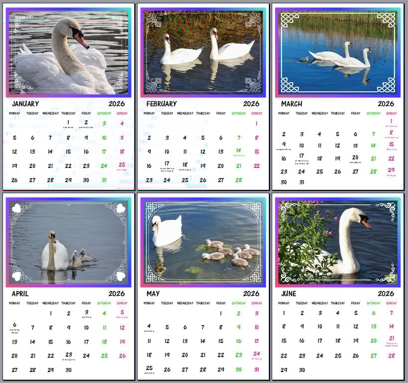 Swans Norfolk 2026 A4 Calendar Wall Hanging 