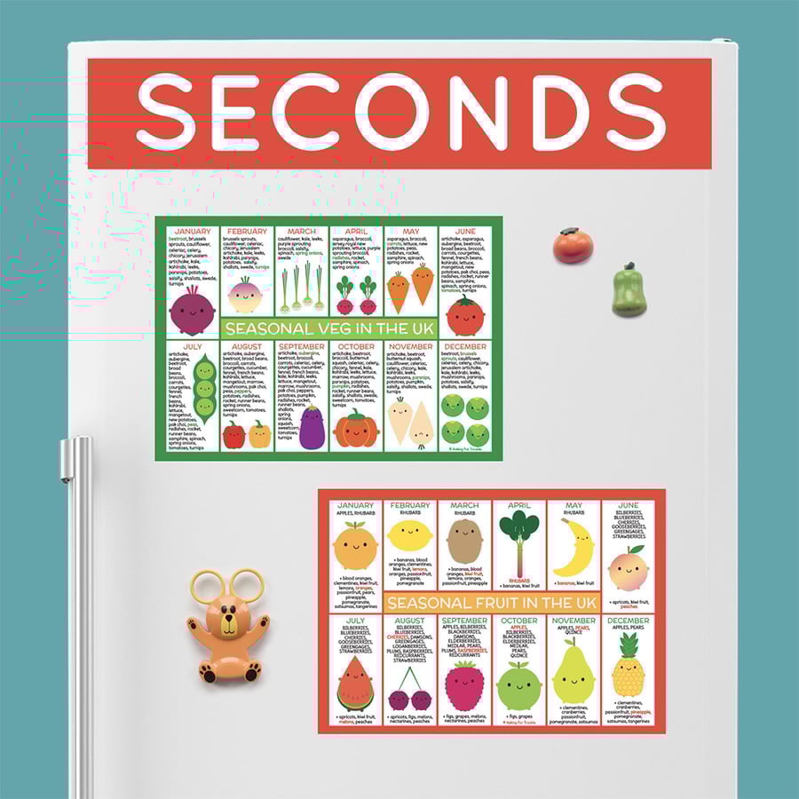 Seconds - UK Seasonal Fruit and Vegetables Fridge Magnets - Perfectly Imperfect