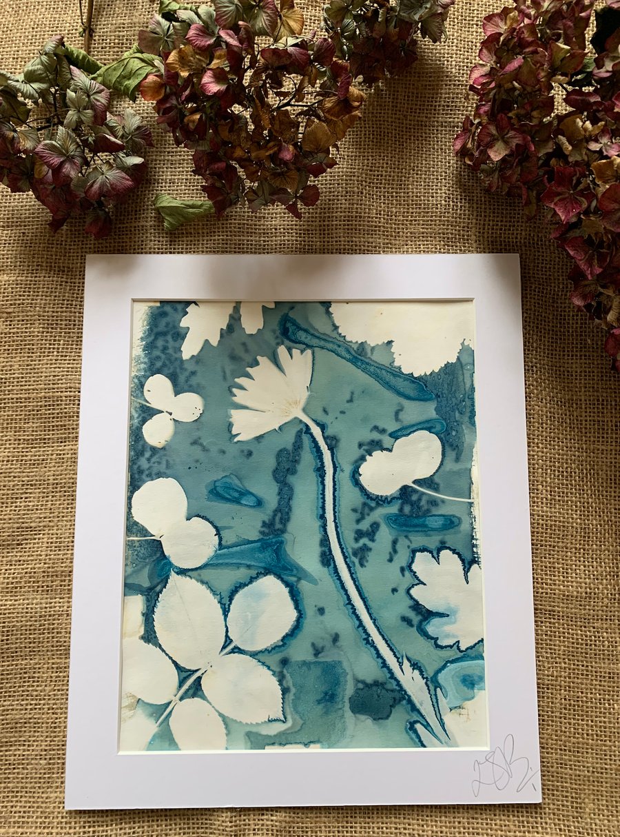 Bleached Wet Cyanotype Print