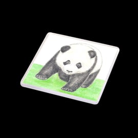 Panda - Coaster