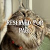RESERVED Sterling Silver Medieval Cat Pendant . Medieval Manuscript Cat Pendant 