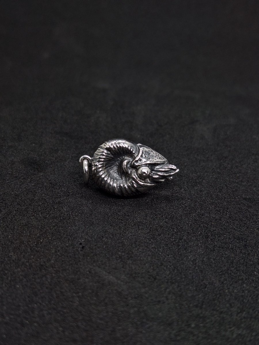 Nautilus Silver Pendant