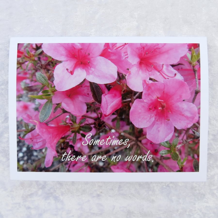 Condolence card.  Sympathy card.  Grief and Loss.