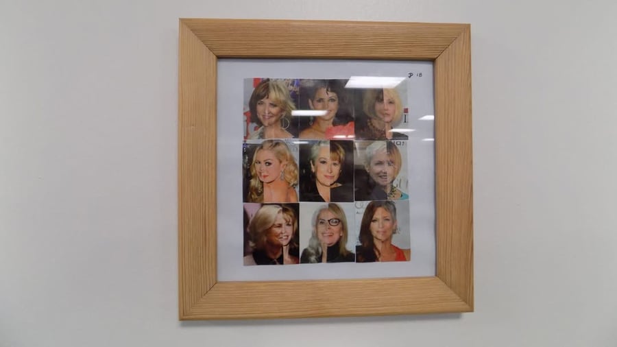 Face Combination Picture