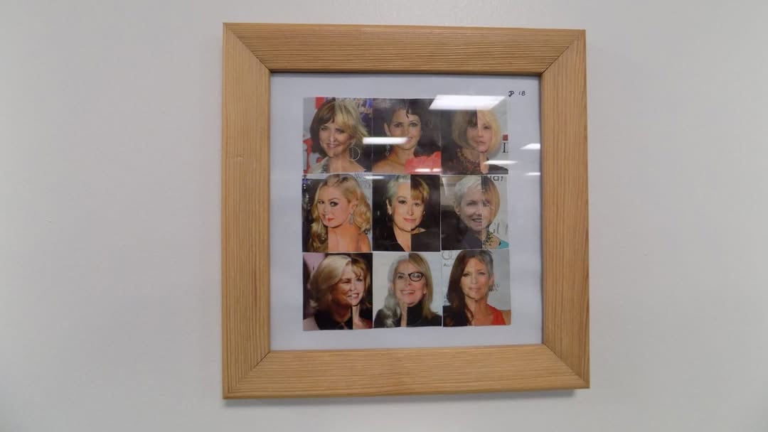 Face Combination Picture