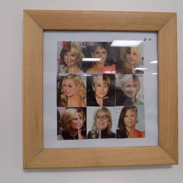 Face Combination Picture