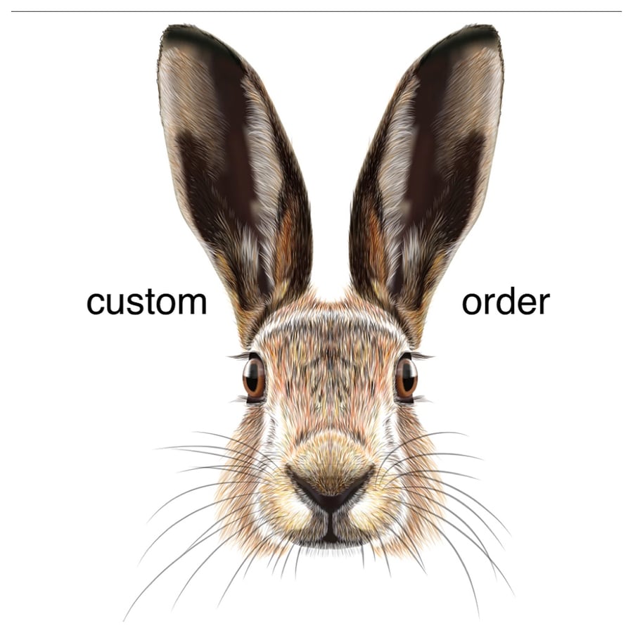 Custom order - Venetian Murano glass silver millefiori earrin gs