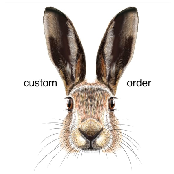 Custom order - Venetian Murano glass silver millefiori earrin gs