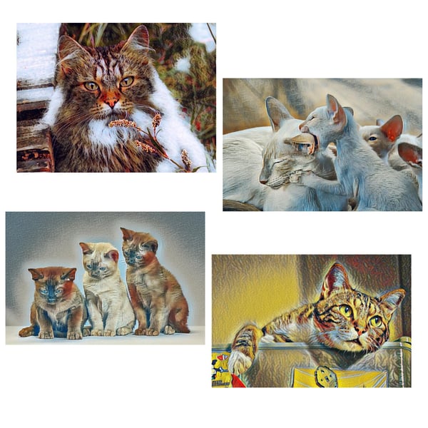  Pack of 4 Mixed Cats & Kitten Cards.