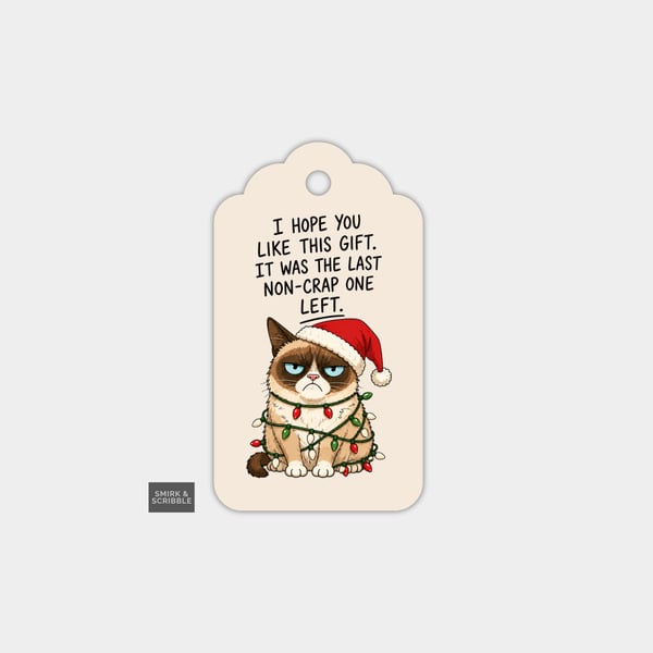 Unique Funny Christmas Gift Tags For Adults, 6pk - Grumpy Cat