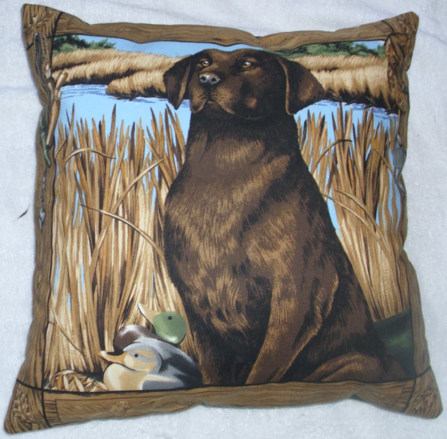 lovely Chocolate Labrador waiting for action cushion