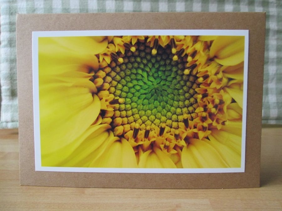 Sunflower Greetings Card