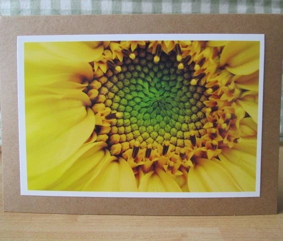 Sunflower Greetings Card