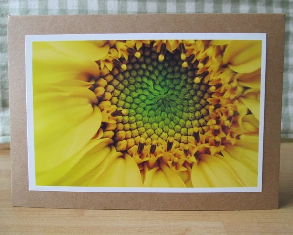 Sunflower Greetings Card