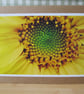 Sunflower Greetings Card - Image 1
