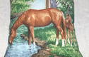 Horses