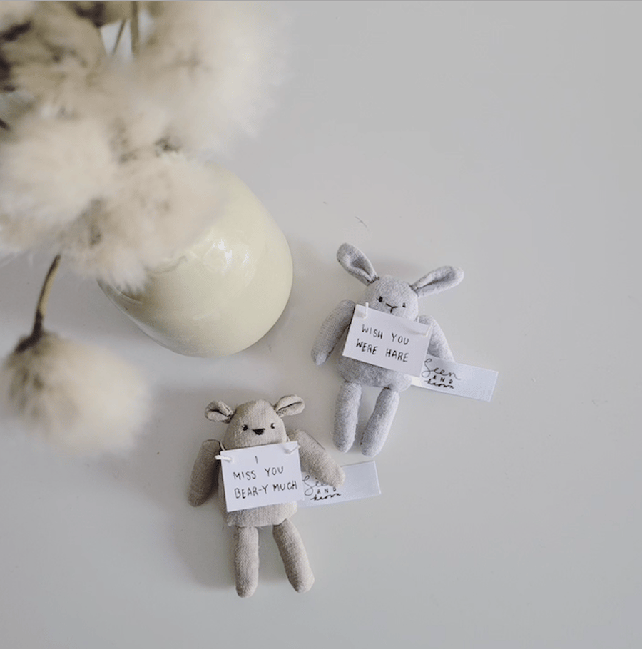 Small Pocket Animal holding note