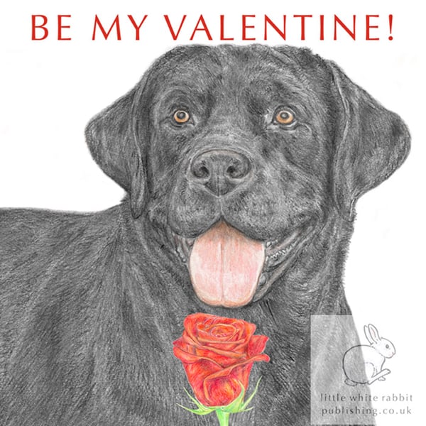 Harper the Black Labrador - Valentine Card